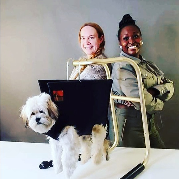 Hands free grooming stand ! Www.pethold.com - Picture 6 of 7